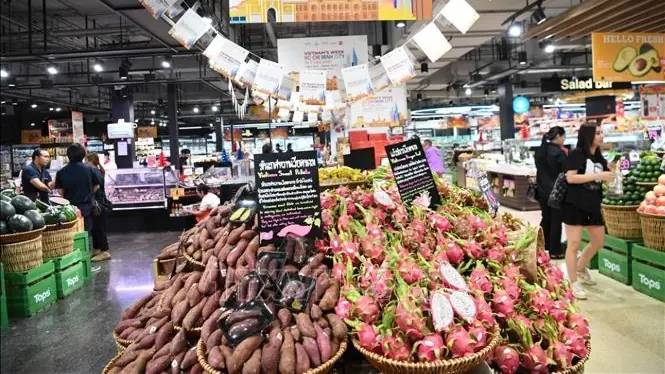 Đưa hàng Việt đến gần người Việt | Tự hào hàng Việt Nam | 16/08/2025